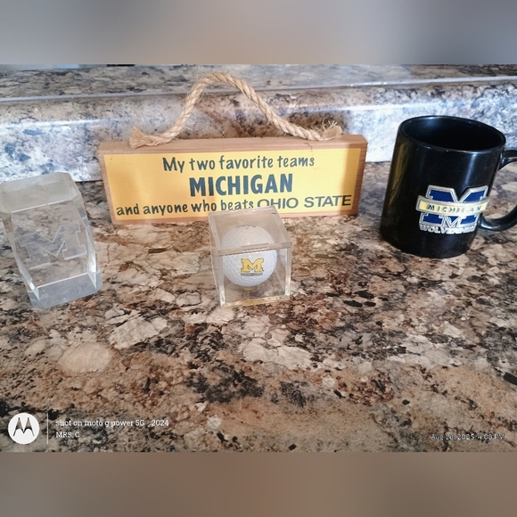 Michigan Wolverines  New Man Cave Decor University Of Michigan - Picture 1 of 6
